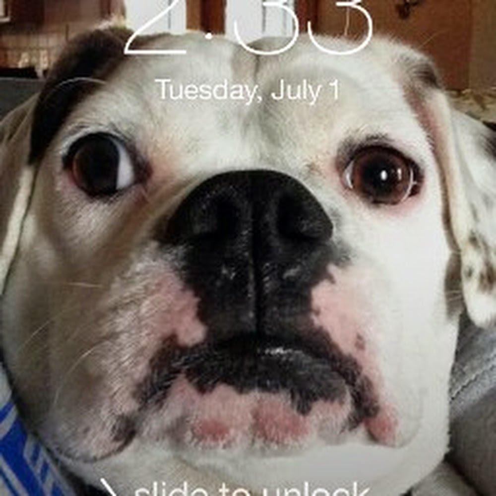 Meet your Posher, Chris